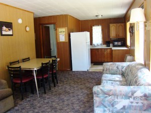 Cabin 10 Living room kitchen