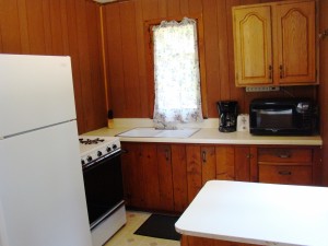 Cabin 10 kitchen